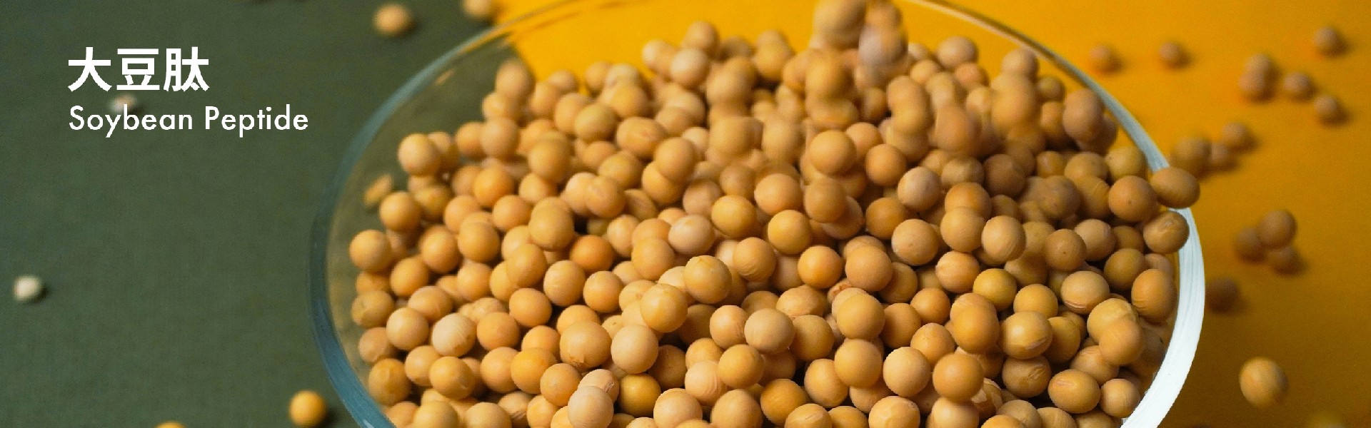 大豆肽